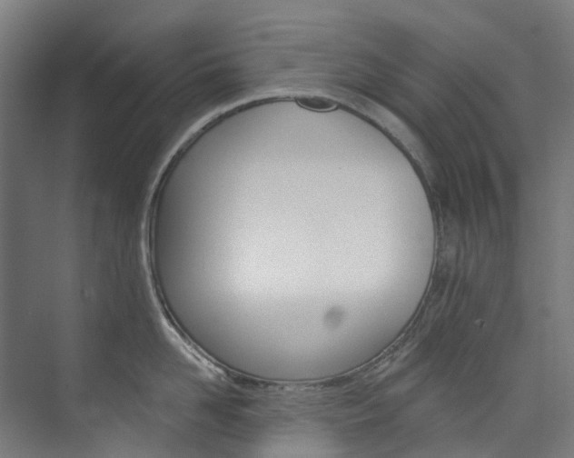 X0000073850958200608171029