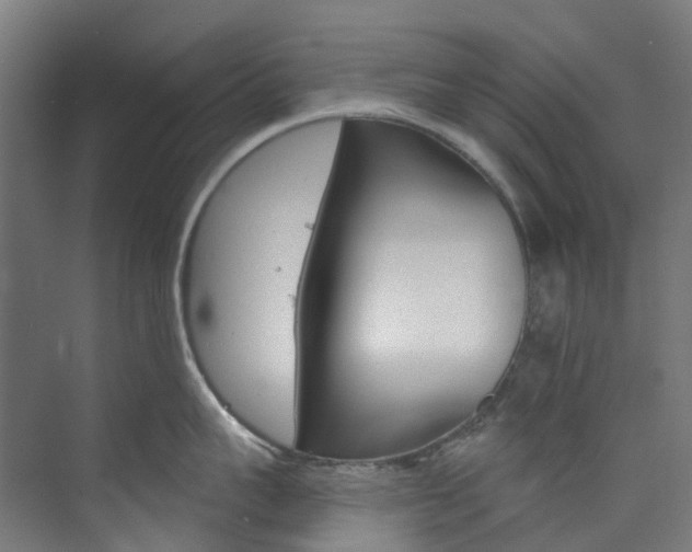 X0000073850959200608171029