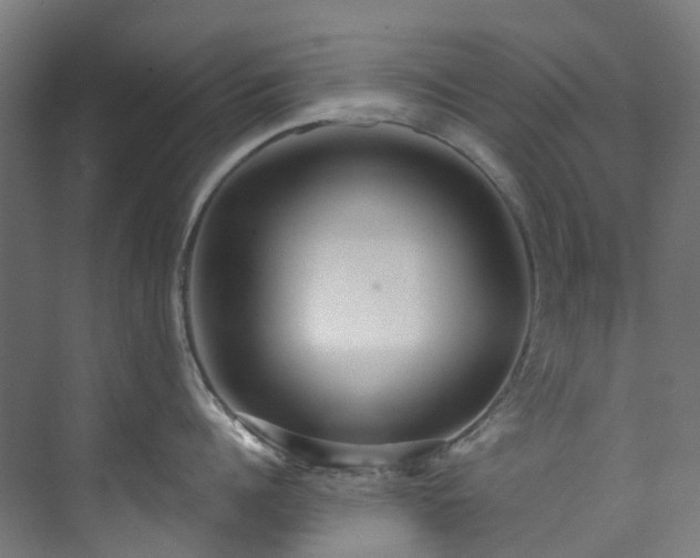 X0000073850960200608171029