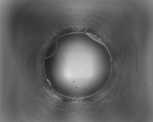 X0000073850961200608171028