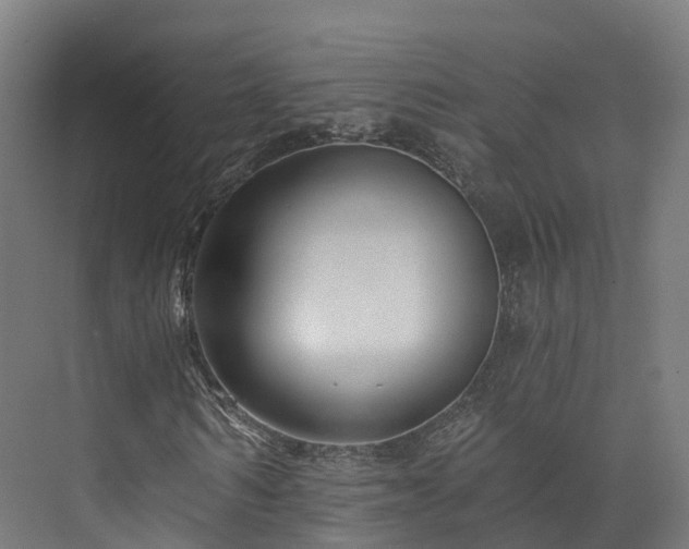 X0000073850962200608171028