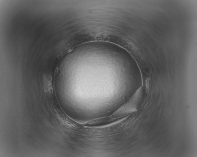 X0000073850963200608171028