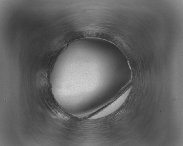 X0000073850964200608171028