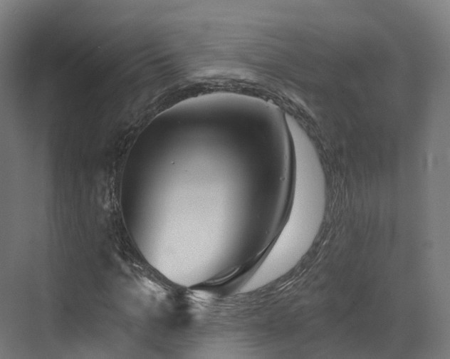 X0000073850965200608171028