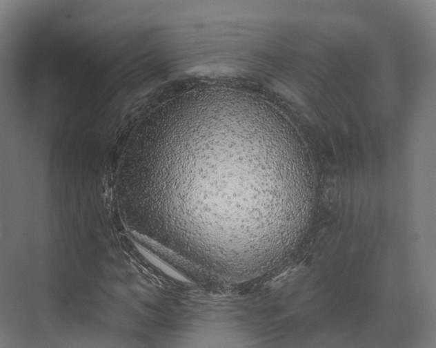 X0000073850966200608171028