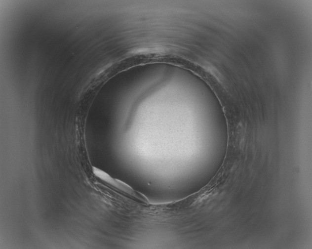 X0000073850967200608171028