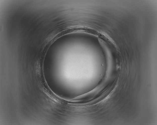 X0000073850969200608171028