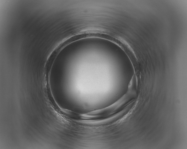 X0000073850973200608171028