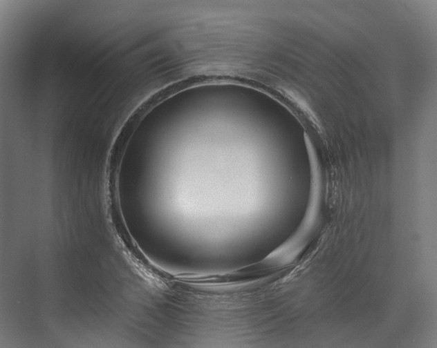 X0000073850976200608171028