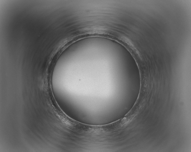 X0000073850978200608171028