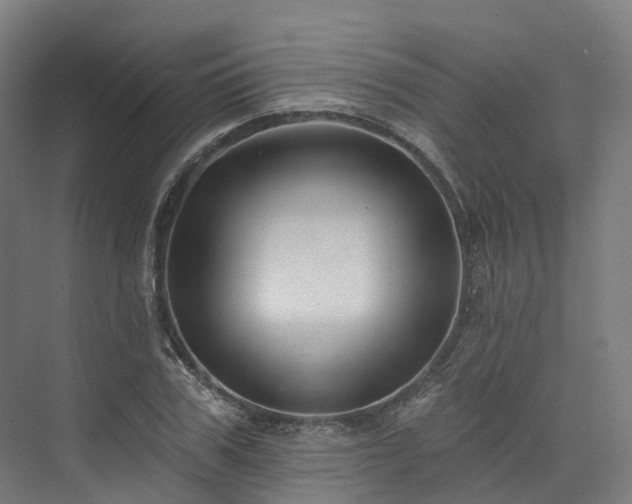 X0000073850979200608171028