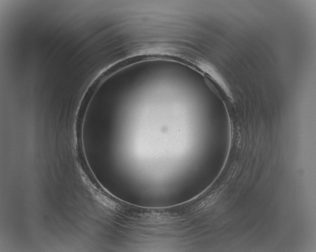 X0000073850980200608171028