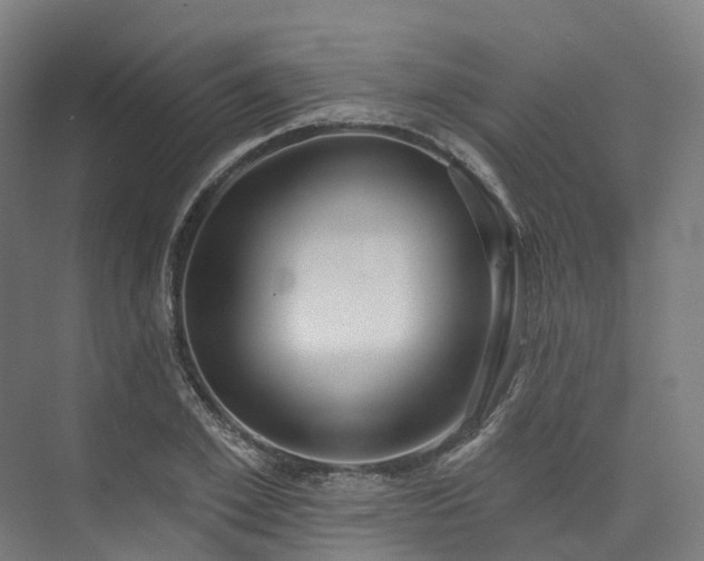 X0000073850981200608171028