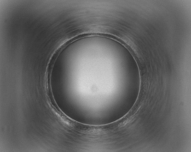 X0000073850982200608171028