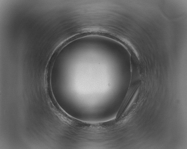 X0000073850983200608171028