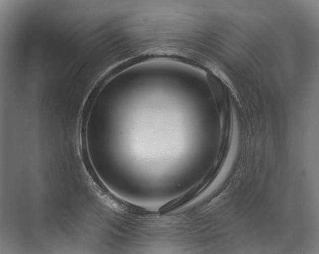 X0000073850984200608171028