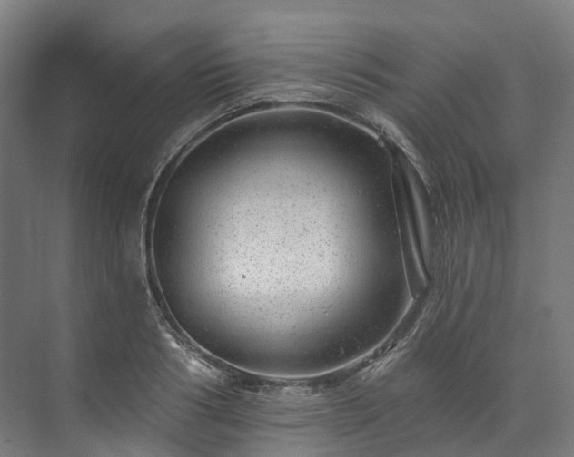 X0000073850986200608171028