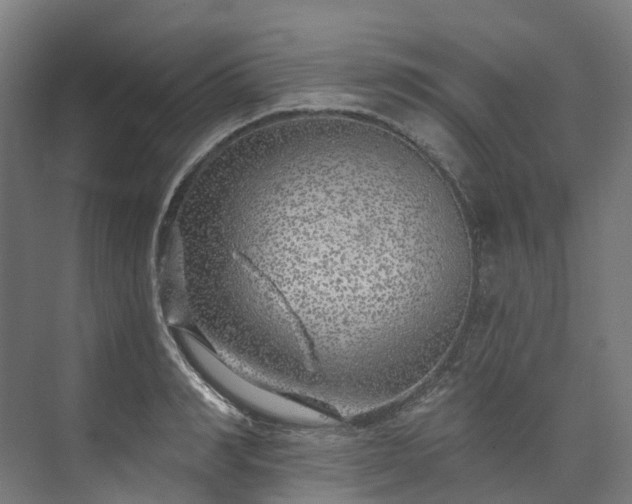 X0000073850990200608171028