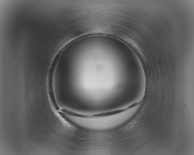 X0000073850991200608171028