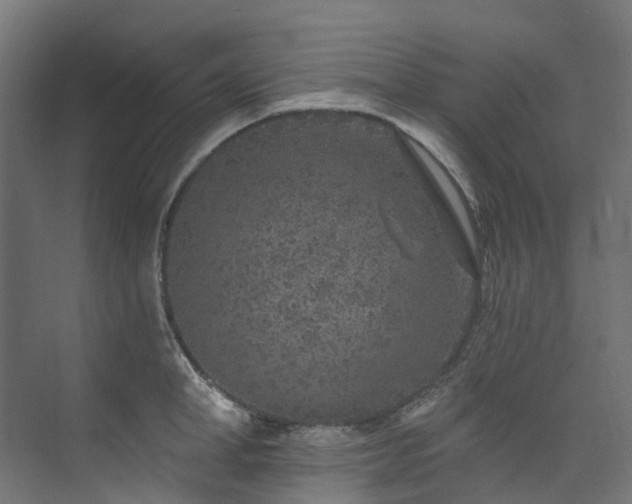 X0000073850998200608171028