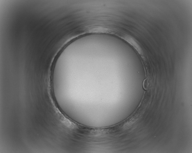 X0000073851000200608171028