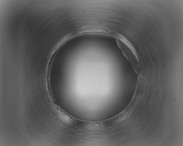 X0000073851002200608171028