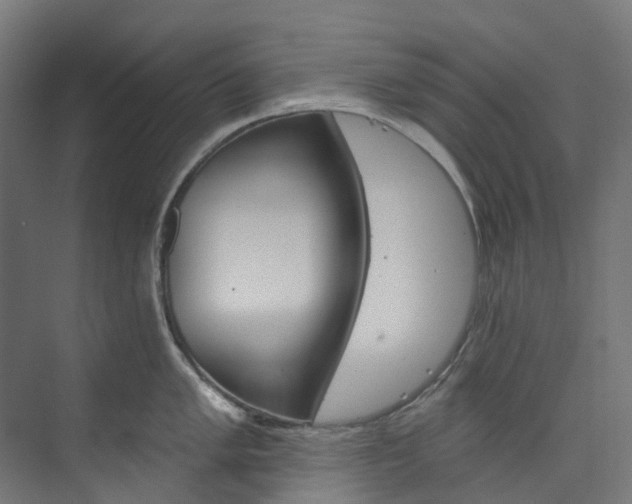 X0000073851005200608171028