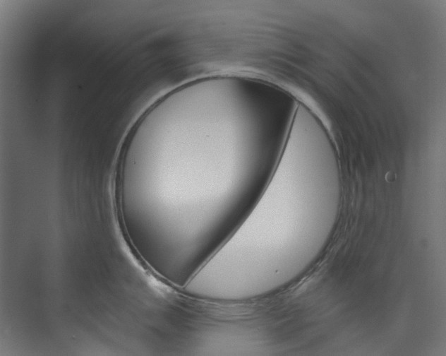 X0000073851007200608171028