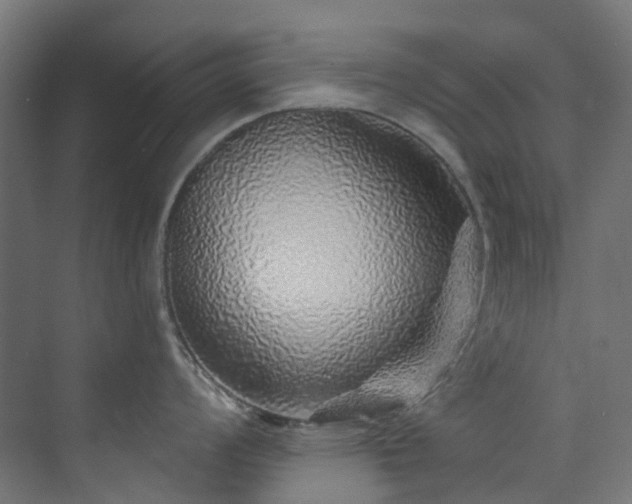 X0000073851008200608171028