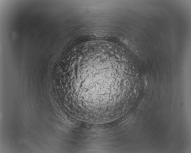 X0000073851009200608171027