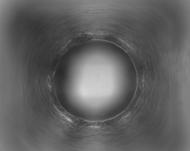 X0000073851010200608171027