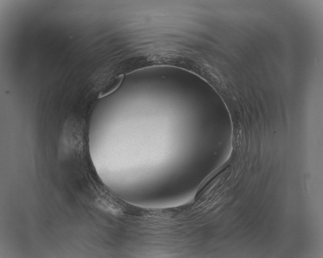 X0000073851012200608171027