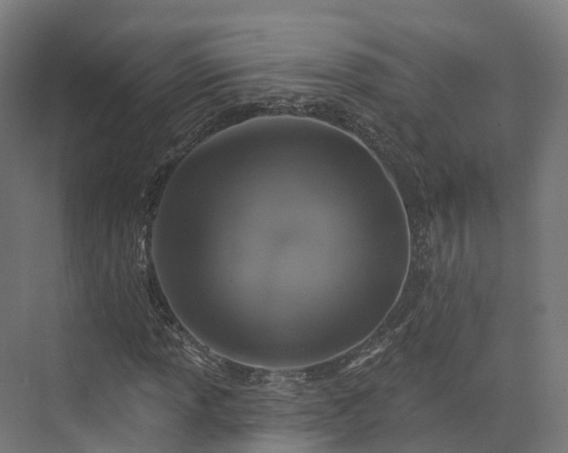 X0000073851013200608171027