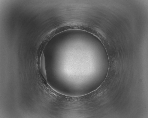 X0000073851016200608171027