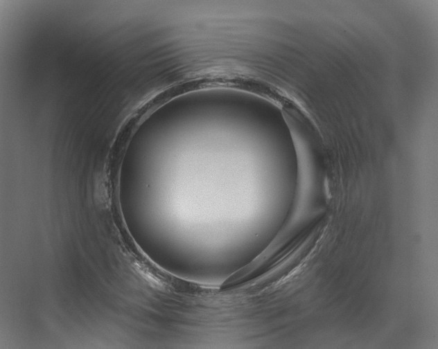 X0000073851018200608171027