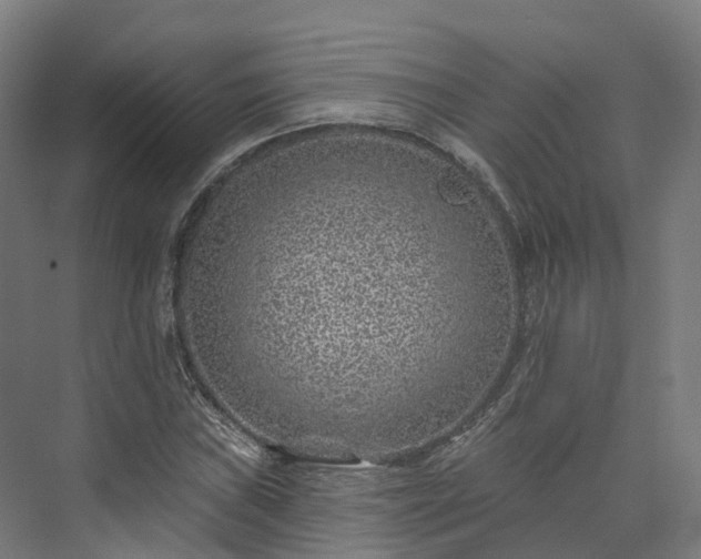 X0000073851019200608171027