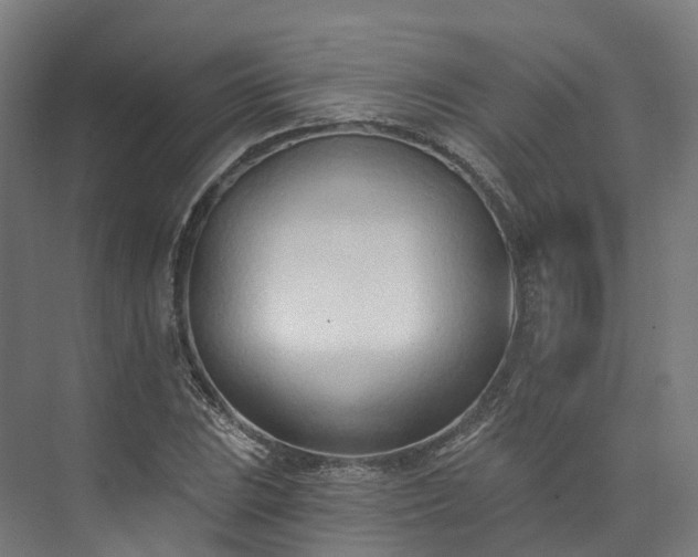 X0000073851023200608171027