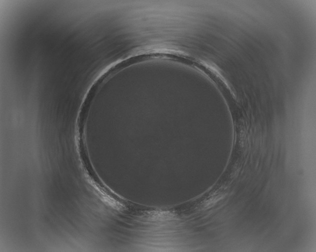 X0000073851024200608171027