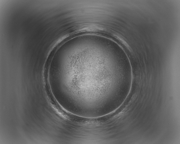 X0000073851026200608171027