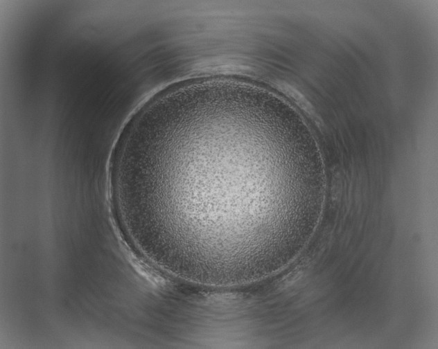 X0000073851031200608171027