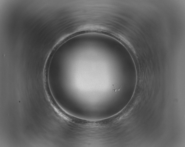 X0000073851037200608171027