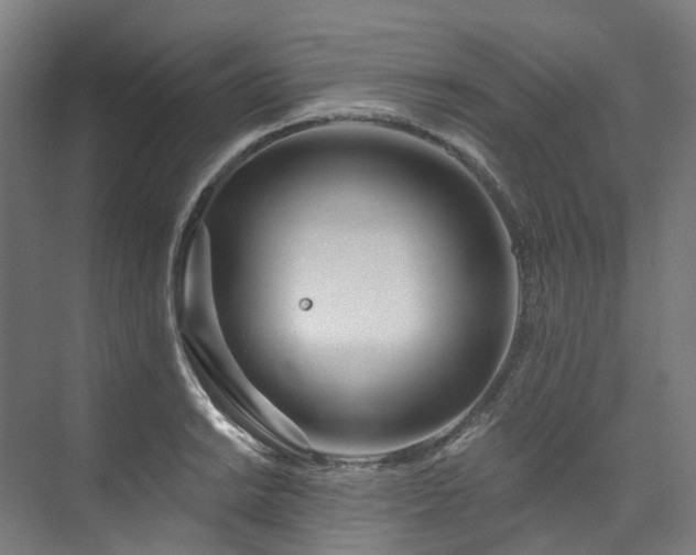 X0000073851038200608171027