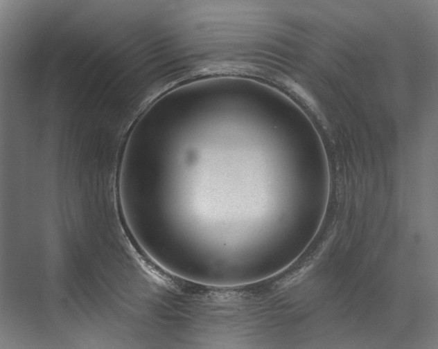 X0000073851041200608171027