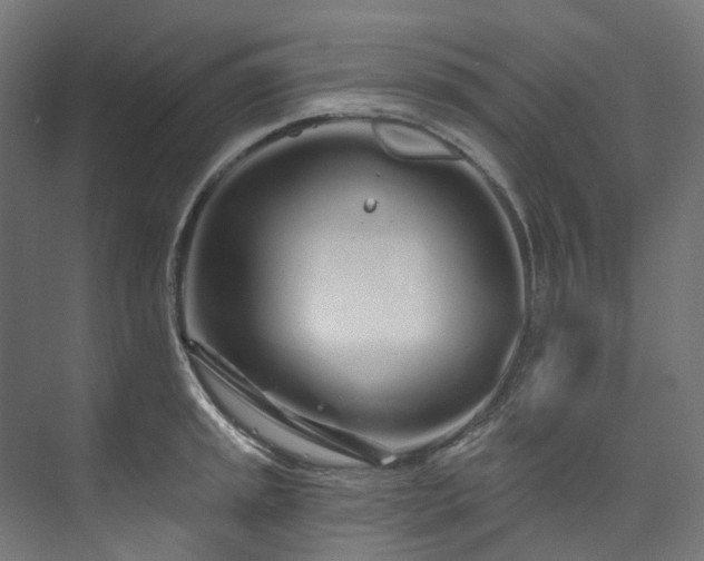 X0000073851045200608171027