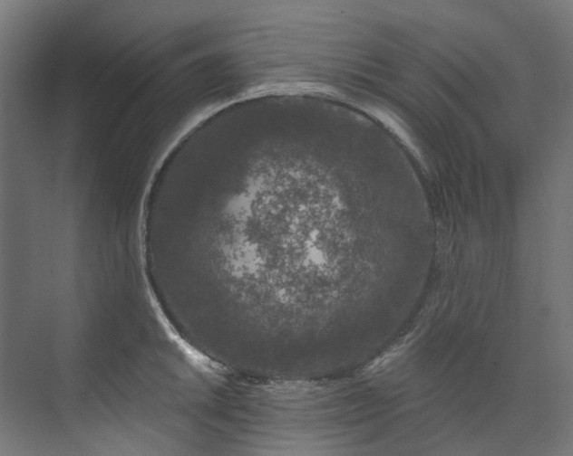 X0000073851046200608171028