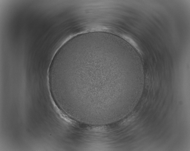 X0000073851047200608171028