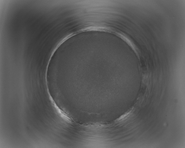 X0000073851050200608171028