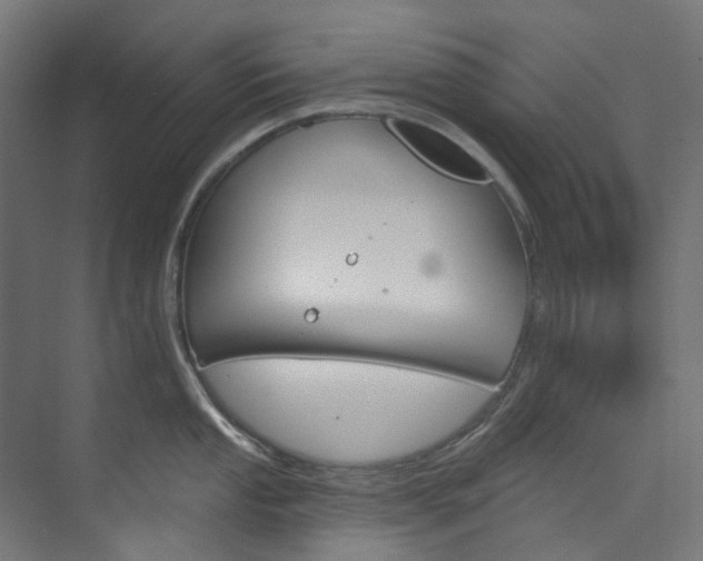 X0000073851053200608171028