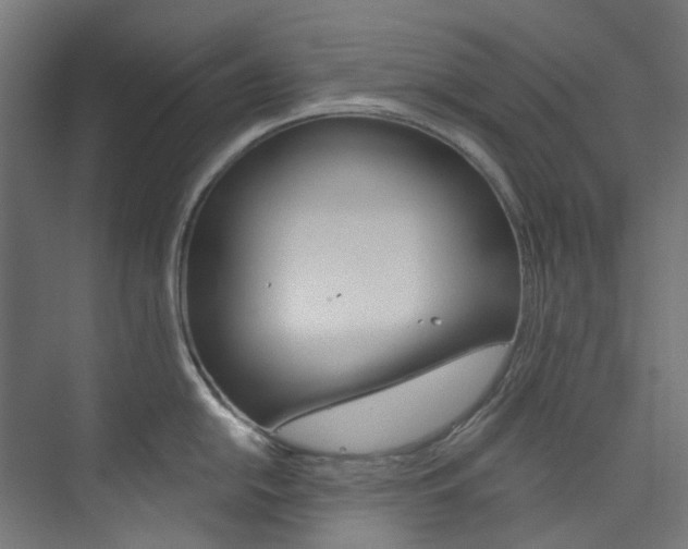 X0000073851054200608171028