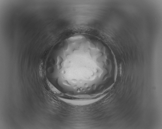 X0000073851059200608171027